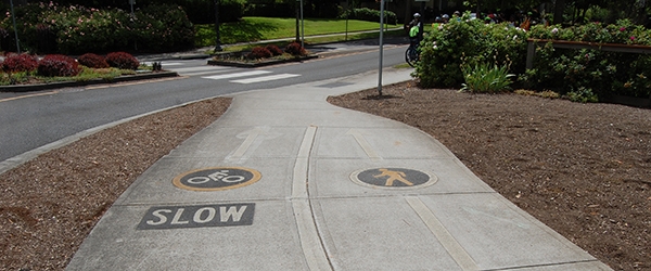 Street icons for bicycle and pedestrian