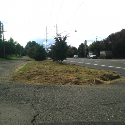 Cully_no_sidewalks_1.jpg