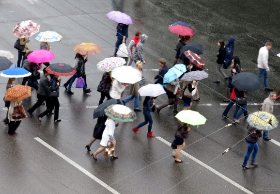 pedestrians-under-umbrellas-1415779889_61.jpg