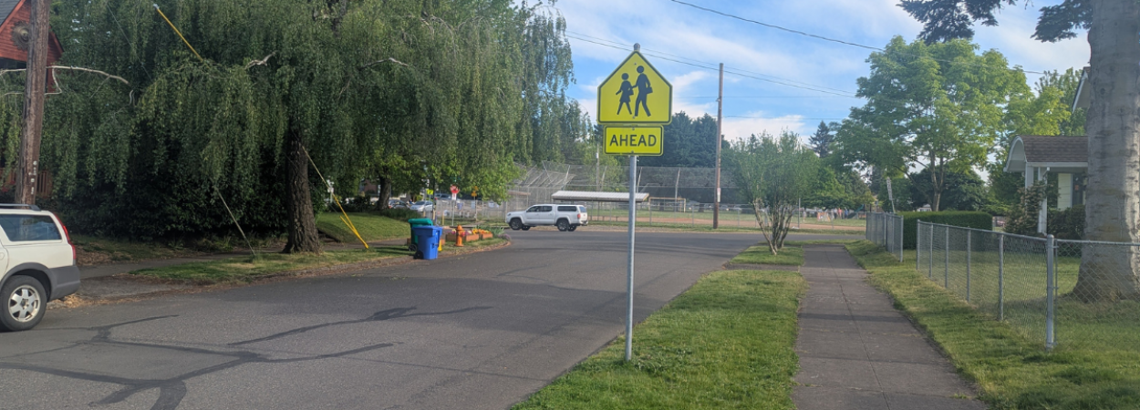 A school crossing sign on a neighborhood street