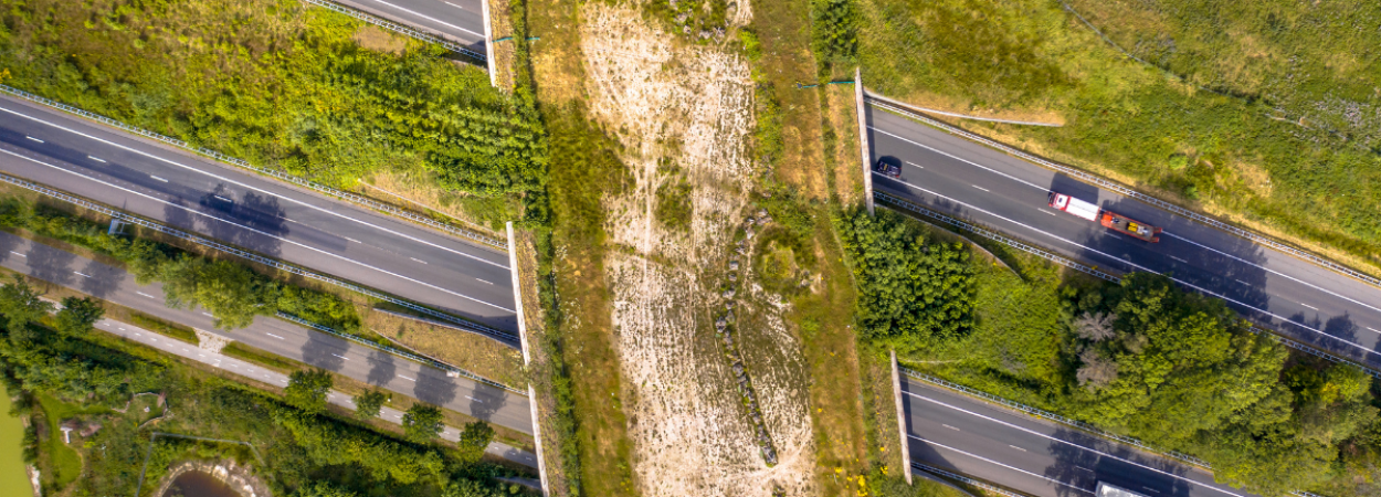 Aeral view of a grass-covered wildlife overcrossing, spanning over six highway lanes