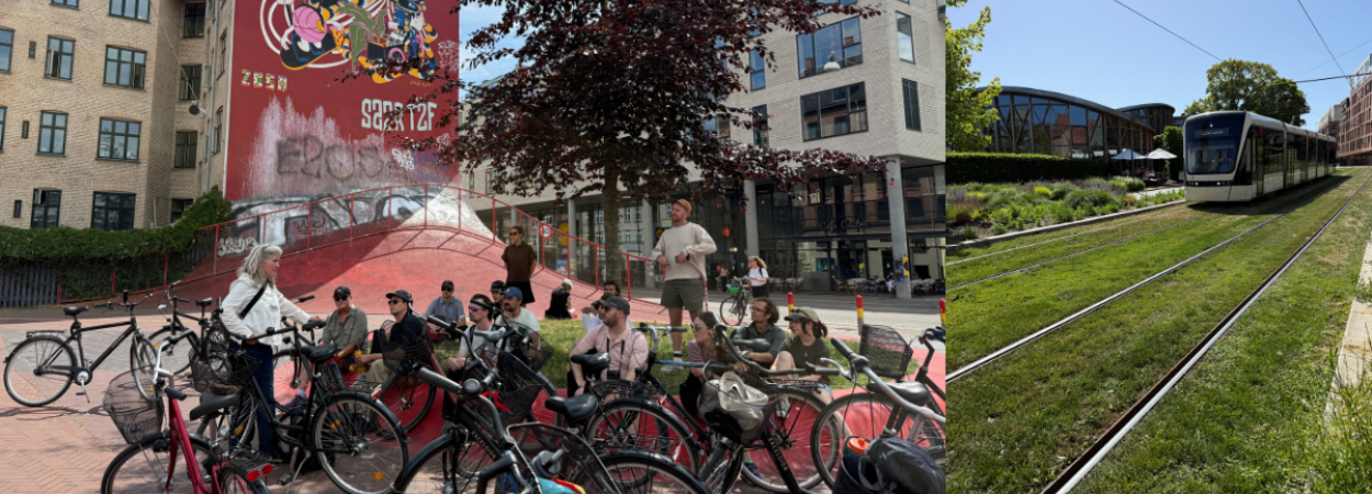 The class takes a break while on a bike tour underneath a tree in a public park, listening to a guest speaker. 