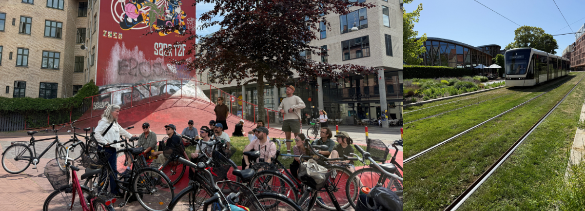 The class takes a break while on a bike tour underneath a tree in a public park, listening to a guest speaker. 